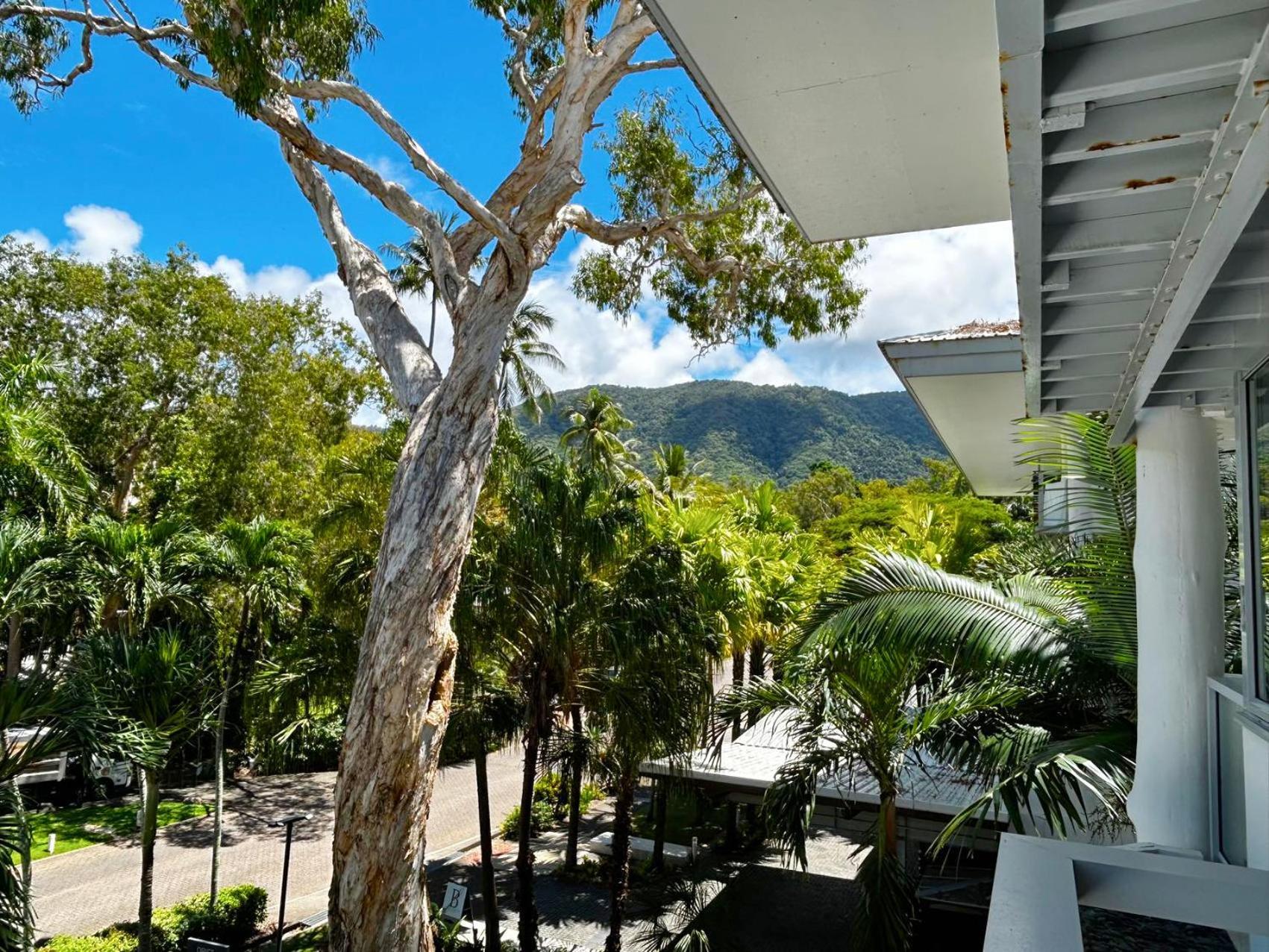 Palm Cove Beachside Apartments - Pool And Garden Views Bagian luar foto